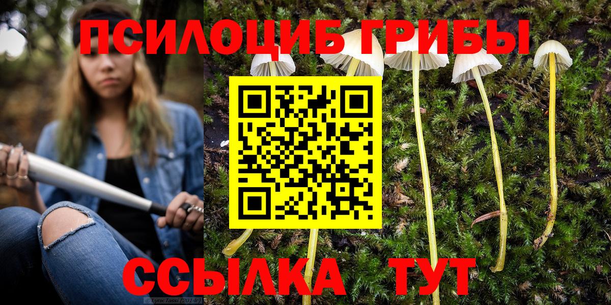 Псилоцибиновые грибы GOLDEN TEACHER Тосно