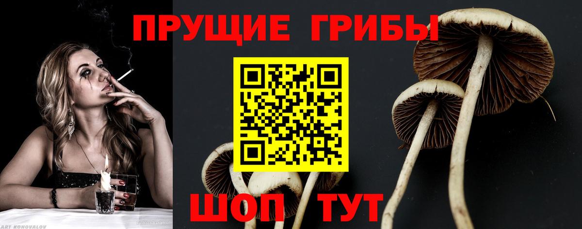 Псилоцибиновые грибы Magic Shrooms  Псилоцибиновые грибы Psilocybine cubensis  Тосно  Вход с VPN 